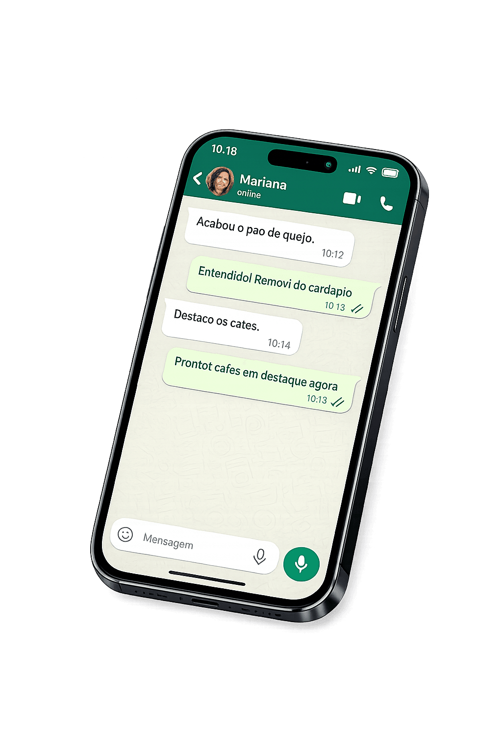 Controle via WhatsApp - Kryvo
